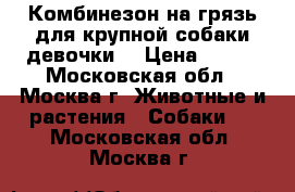 Комбинезон на грязь для крупной собаки-девочки  › Цена ­ 999 - Московская обл., Москва г. Животные и растения » Собаки   . Московская обл.,Москва г.